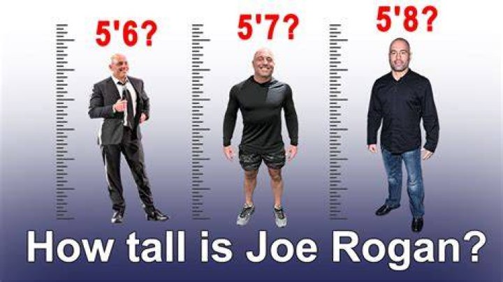 How Tall is Joe Rogan: The Ultimate Guide to His Height and More