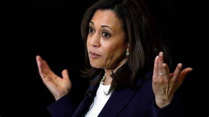 Kamala Phrases: A Comprehensive Guide to Understanding and Applying Them