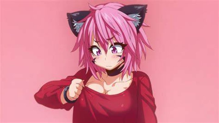 Kemonokko Tsuushin The Animation: A Comprehensive Guide to the Enchanting Series