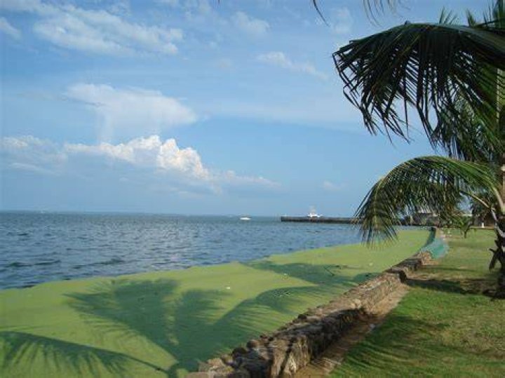 Locanto Maracaibo: Your Ultimate Guide to Exploring the Best of Maracaibo