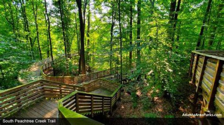 Mason Mill Park: A Hidden Gem in Atlanta's Urban Jungle