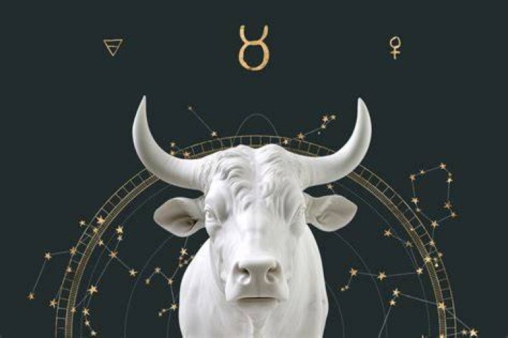 May 16th Zodiac: Discover the Traits, Love Life, and Career Insights of Taurus