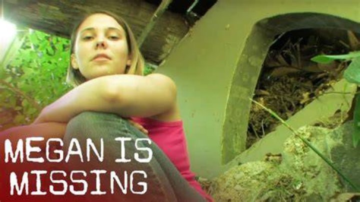 Megan's Missing: A Deep Dive into the Case That Shocked the Nation
