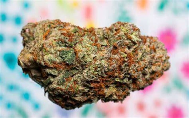 Most Expensive Weed: Unveiling the World's Premium Cannabis Strains