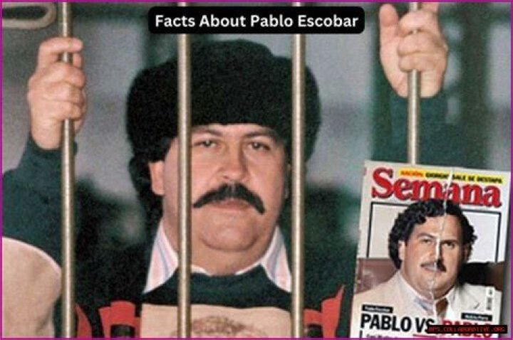 Pablo Escobar's Family: The Untold Story of Power, Wealth, and Legacy