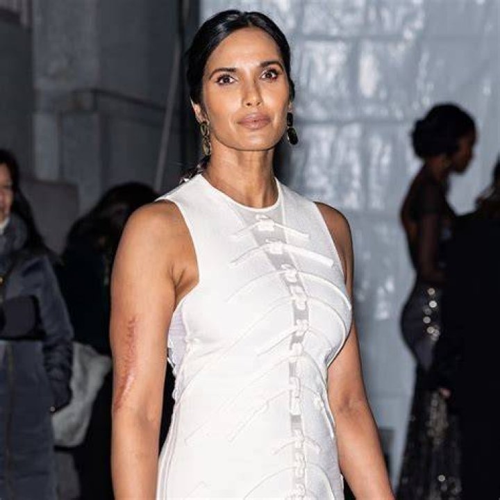 Padma Lakshmi Arm Car: A Comprehensive Guide to Style, Fashion, and Influence