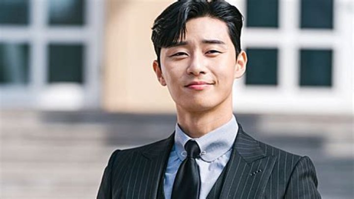 Park Seo-joon TV Shows: Exploring the Iconic Performances of a Rising Star