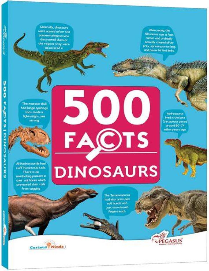 Rambotore: The Ultimate Guide to This Fascinating Topic