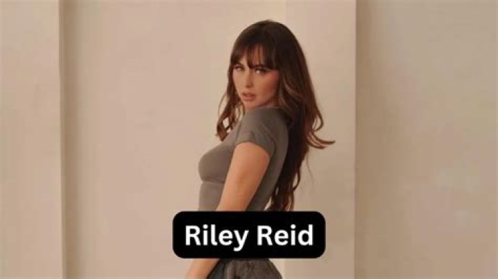Riley Reid Free: A Comprehensive Guide to Her Career and Influence