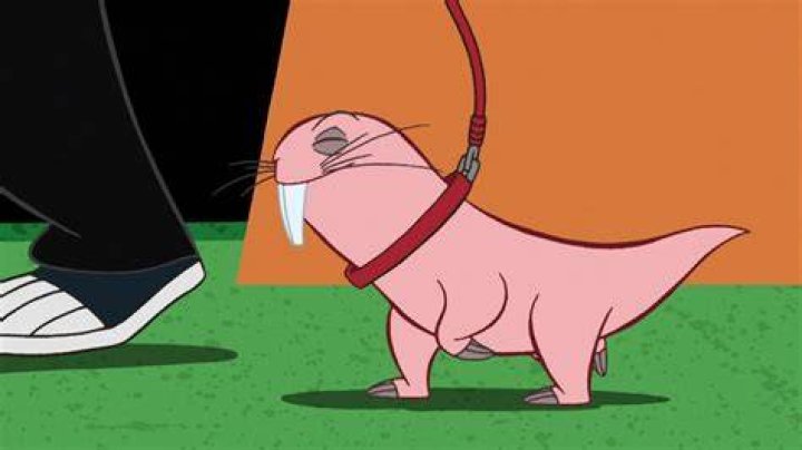 Rufus in Kim Possible: The Tiny Sidekick with a Big Impact