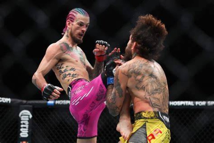 Sean O'Malley Fights: The Ultimate Guide to His MMA Journey
