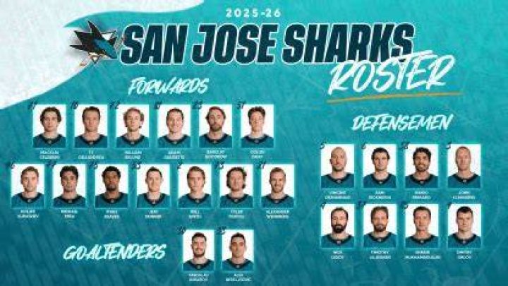 Sharks Roster: Your Ultimate Guide to Understanding the Team's Lineup