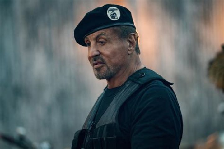 Silvestertalone: A Comprehensive Look at the Iconic Action Star