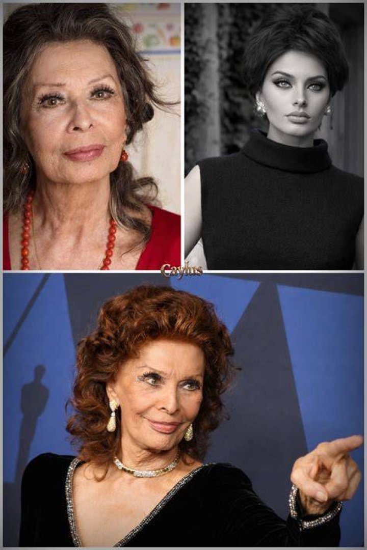 Sophia Loren: The Timeless Icon and Her Extraordinary Journey