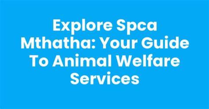 SPCA Mission: A Comprehensive Guide to Understanding and Supporting Animal Welfare