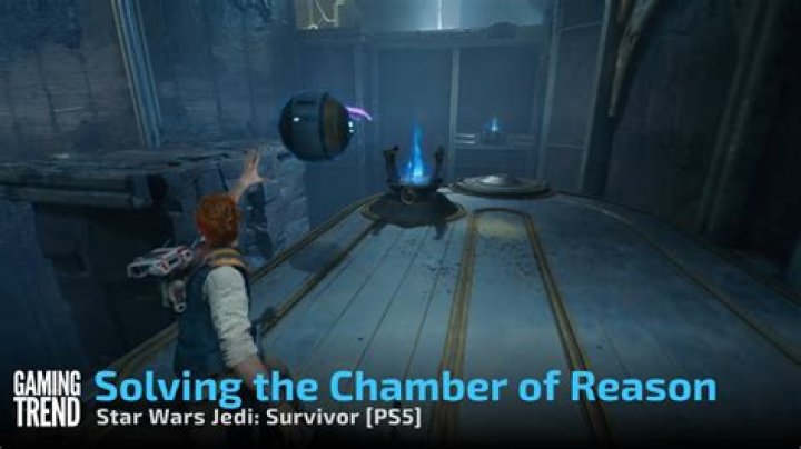 Survivor Reason 15: Unveiling the Secrets Behind the Phenomenon