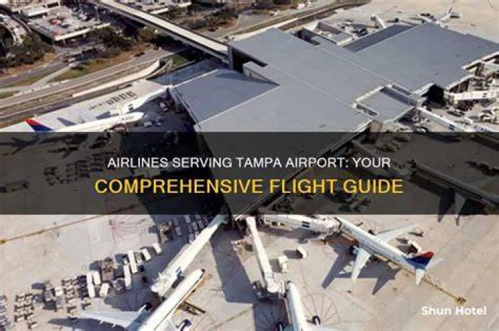 Tampa Airport Opens: A Comprehensive Guide to Your Travel Experience
