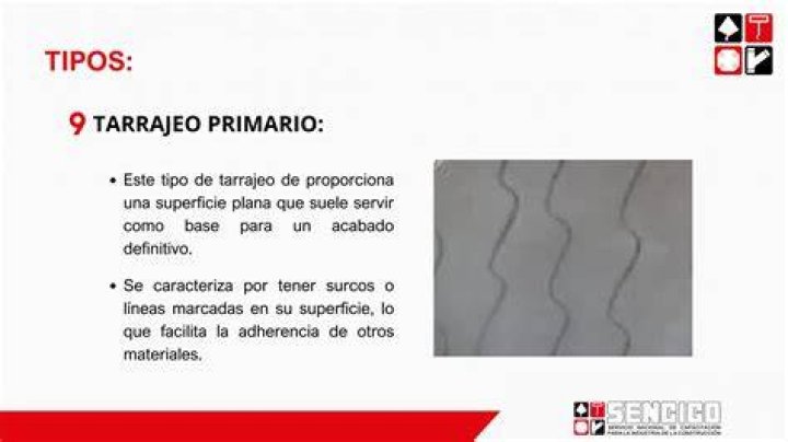 Tarrajeo Primario Rayado: A Comprehensive Guide to Understanding and Managing This Condition