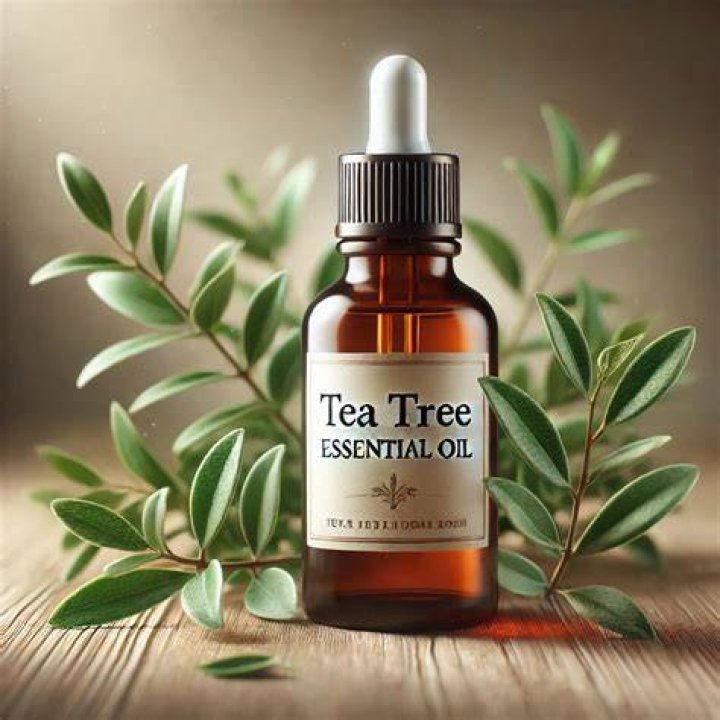 Tea Tree Oil on Eczema: The Ultimate Guide to Understanding Its Benefits and Uses