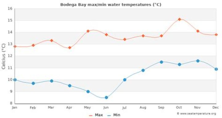 Temperature at Bodega Bay: A Comprehensive Guide to Understanding the Climate