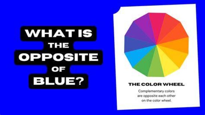 The Opposite of Blue Color: Exploring Complementary Shades and Their Significance