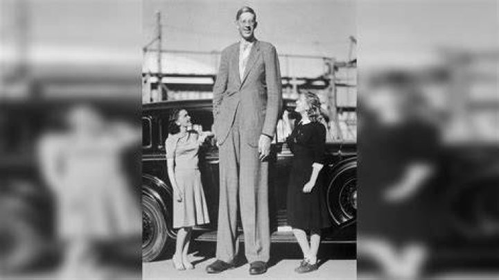 The Tallest People in the United States: Discovering Giants Among Us