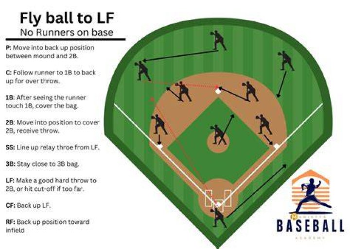 Travellers Baseball: A Comprehensive Guide for Fans and Enthusiasts