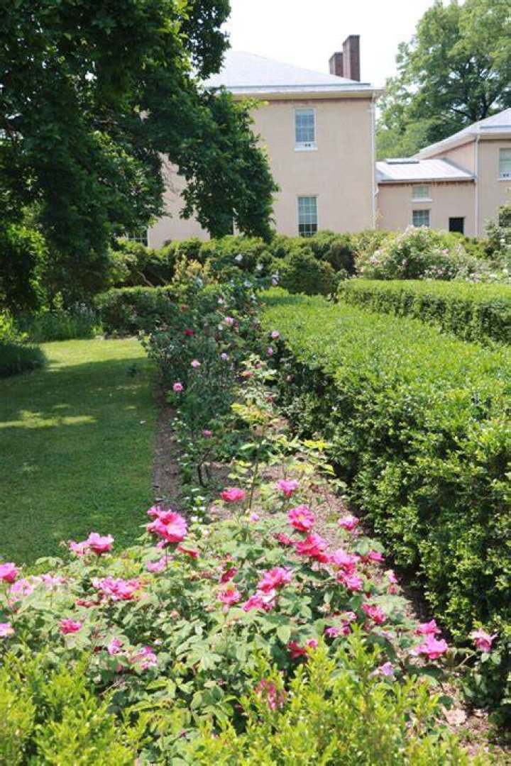 Tudor Place Historic House: A Journey Through Time and Heritage