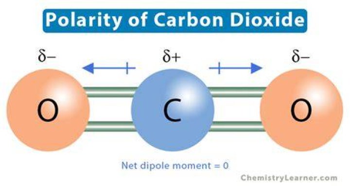 Understanding Carbon Dioxide Polarity: A Comprehensive Guide