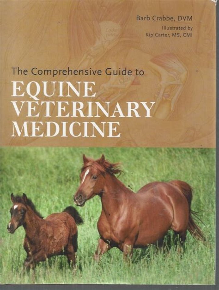 Unveiling the Magic of Horseshows: A Comprehensive Guide to Equine Showmanship