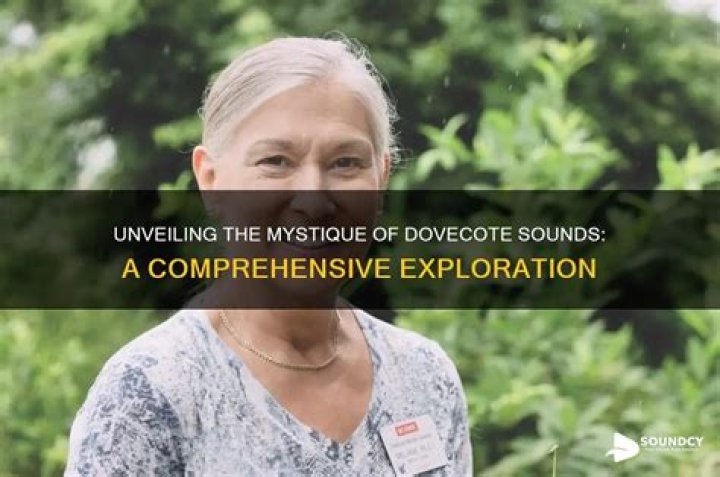 Unveiling the Mystique of the South: A Comprehensive Exploration