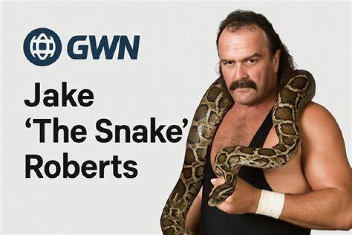 Unveiling the World of Snake Wrestler: The Ultimate Guide to Courage and Skill