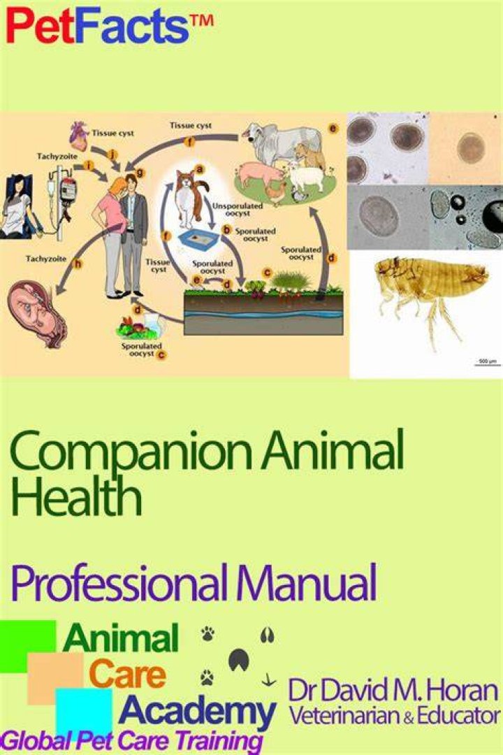 Veterinarian POL: Your Trusted Companion for Animal Health and Wellness