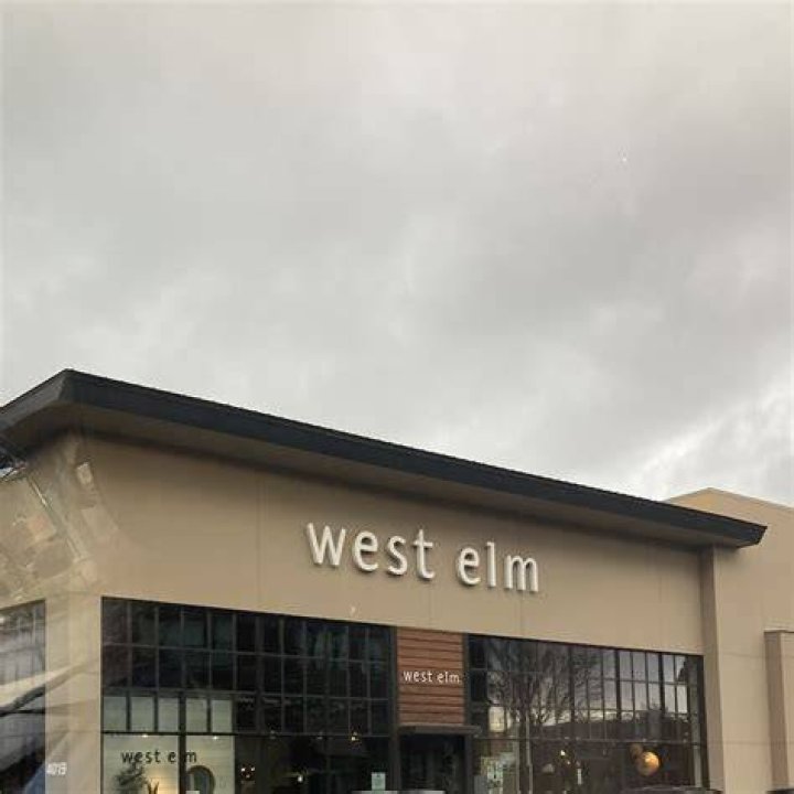 West Elm Charlotte Reviews: A Comprehensive Guide for Your Next Home Furnishing Adventure