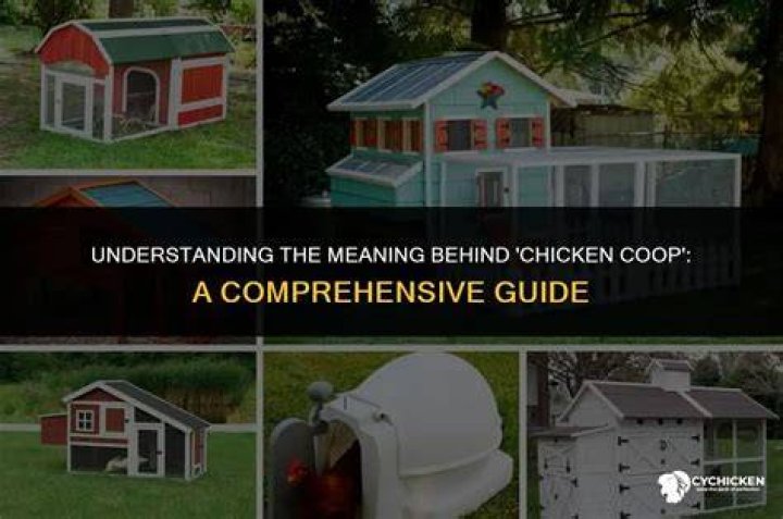 What Does Chicken Lovers Mean? A Comprehensive Guide