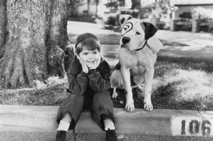 What Happened to Petey from The Little Rascals (1994)? A Comprehensive Look at His Journey