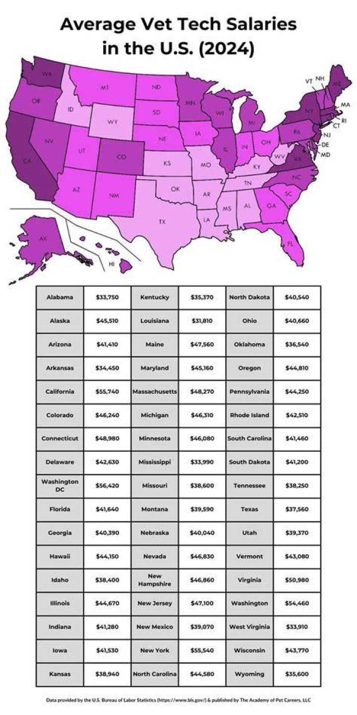 What is the Yearly Salary of a Vet Tech? A Comprehensive Guide
