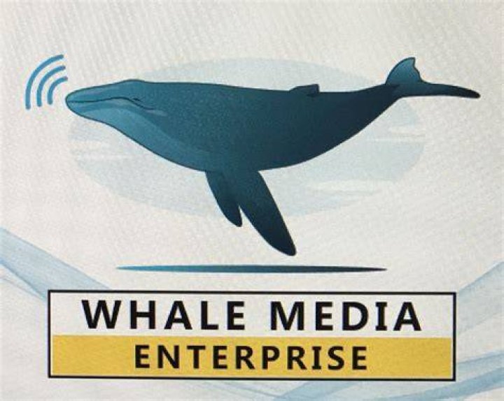 Who Owns Integrated Whale Media Investments? A Comprehensive Guide