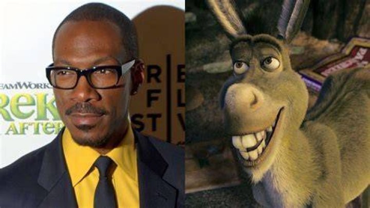 Who Was the Voice of the Donkey in Shrek? A Comprehensive Guide