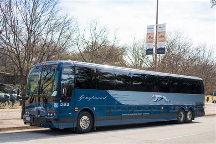 Why Greyhound Buses Are the Best Option for Long-Distance Travel in the U.S.