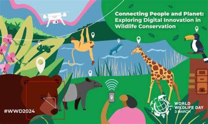 WWFable: The Ultimate Guide to Understanding and Exploring the World of Wildlife Conservation