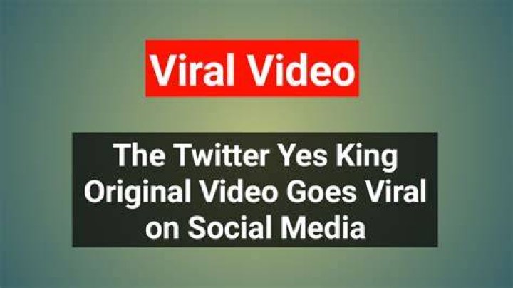 Yes King Videos: A Comprehensive Guide to Trending Content and Its Impact
